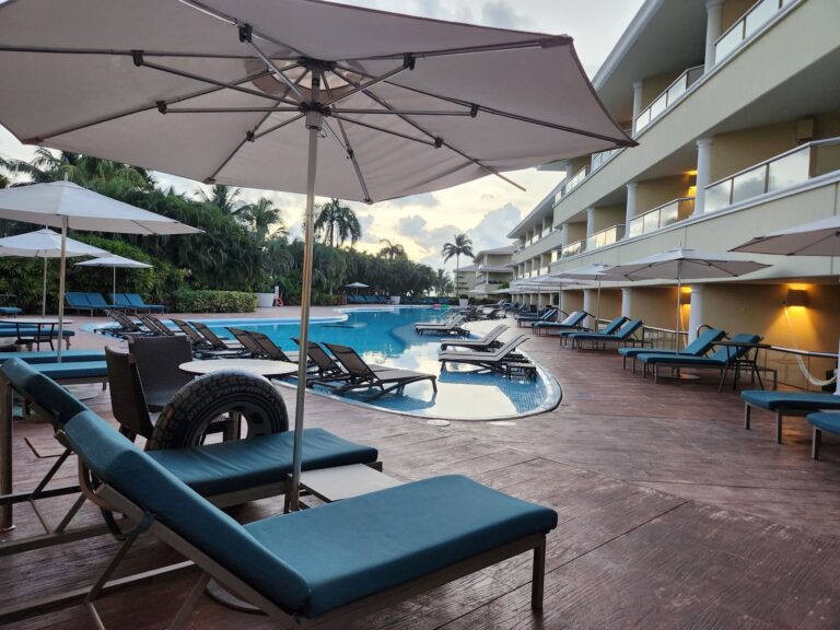 20251214 070827 768x576