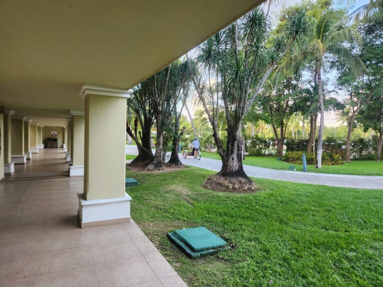 20251214 074155 1 768x576