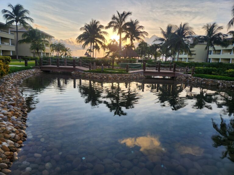 20251214 074426 768x576